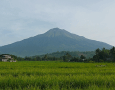 Descubre el Fascinante Turismo Negros en Filipinas: Aventura y Cultura en la Isla